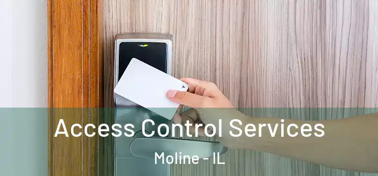 Access Control Services Moline - IL