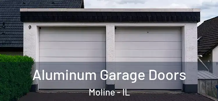  Aluminum Garage Doors Moline - IL