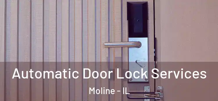 Automatic Door Lock Services Moline - IL