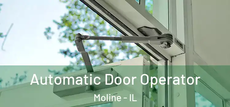 Automatic Door Operator Moline - IL