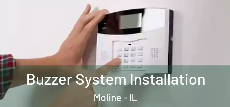Buzzer System Installation Moline - IL