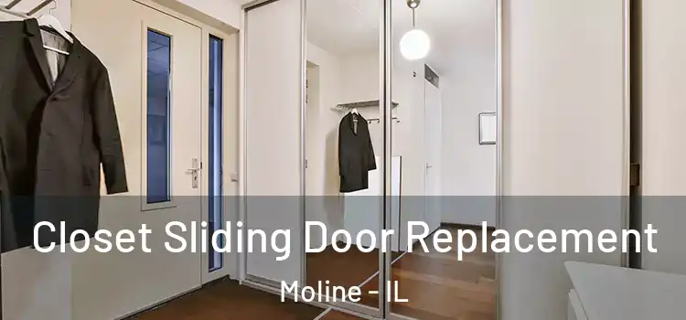 Closet Sliding Door Replacement Moline - IL