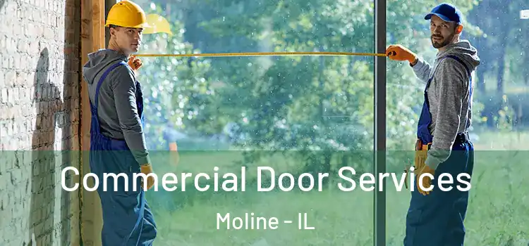 Commercial Door Services Moline - IL
