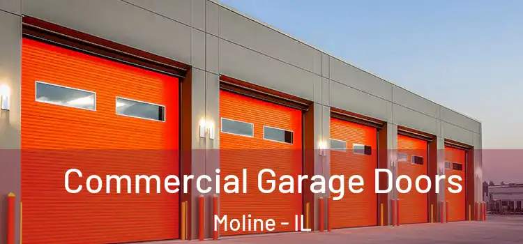  Commercial Garage Doors Moline - IL