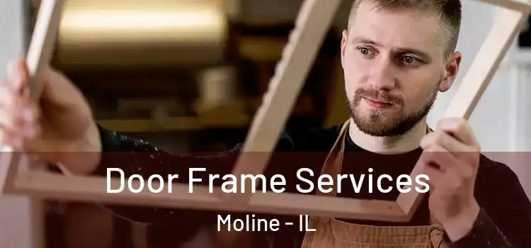 Door Frame Services Moline - IL