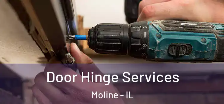 Door Hinge Services Moline - IL