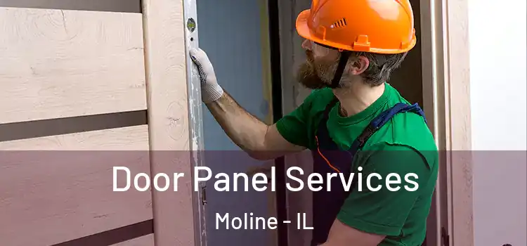 Door Panel Services Moline - IL