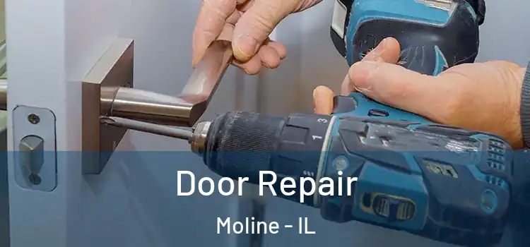 Door Repair Moline - IL