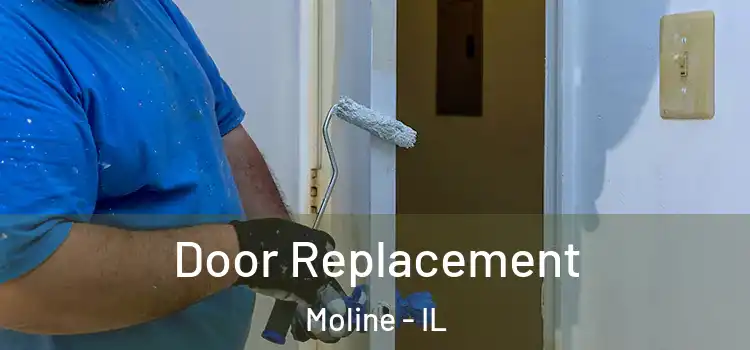 Door Replacement Moline - IL