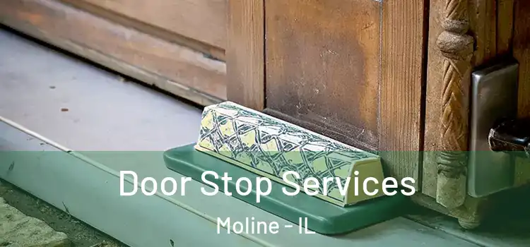 Door Stop Services Moline - IL