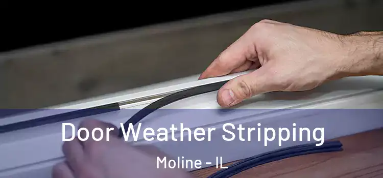Door Weather Stripping Moline - IL