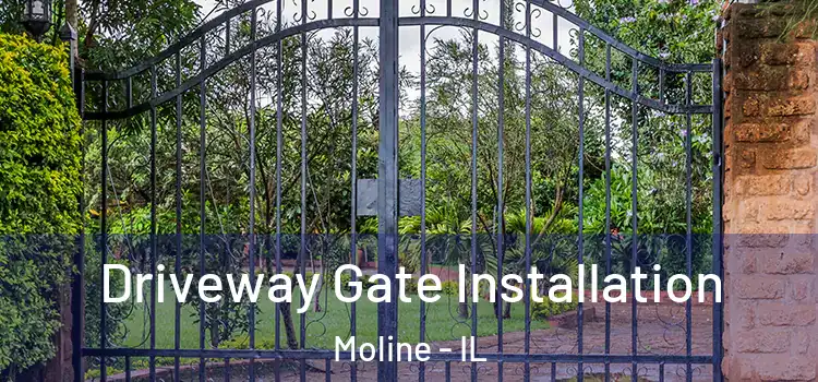 Driveway Gate Installation Moline - IL