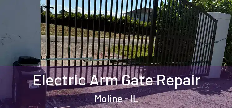 Electric Arm Gate Repair Moline - IL