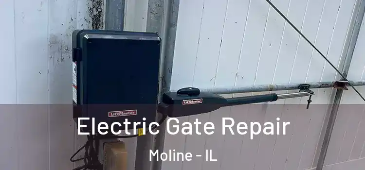 Electric Gate Repair Moline - IL