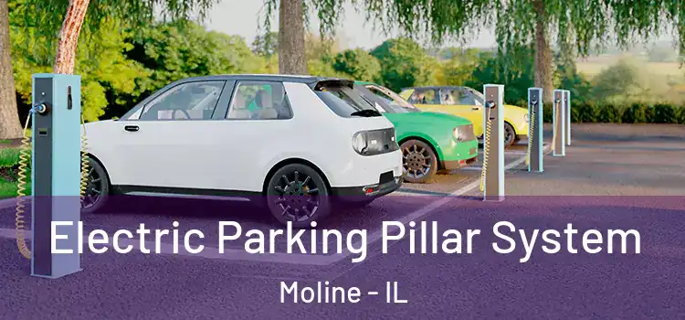 Electric Parking Pillar System Moline - IL