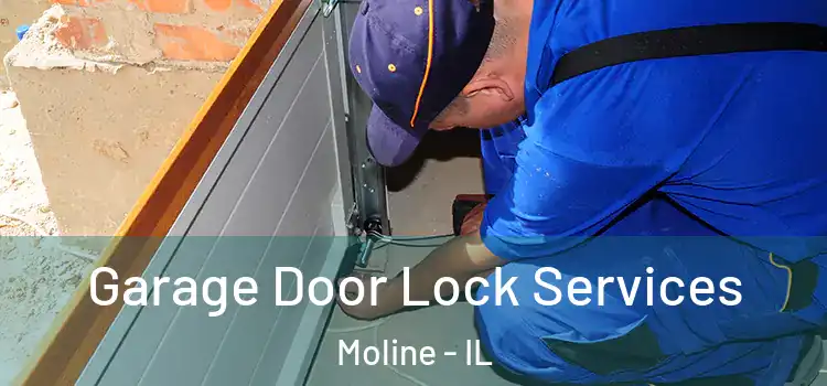 Garage Door Lock Services Moline - IL