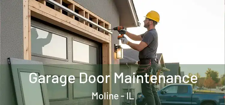 Garage Door Maintenance Moline - IL
