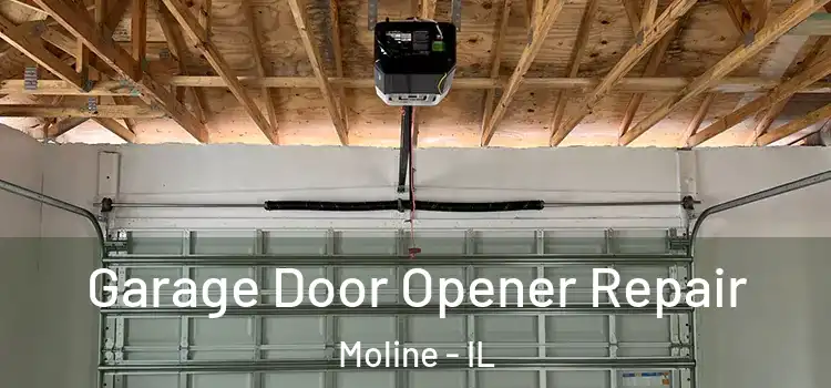  Garage Door Opener Repair Moline - IL
