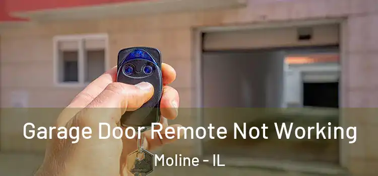  Garage Door Remote Not Working Moline - IL