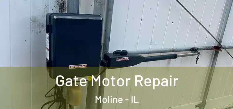 Gate Motor Repair Moline - IL