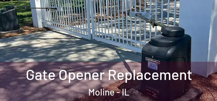 Gate Opener Replacement Moline - IL