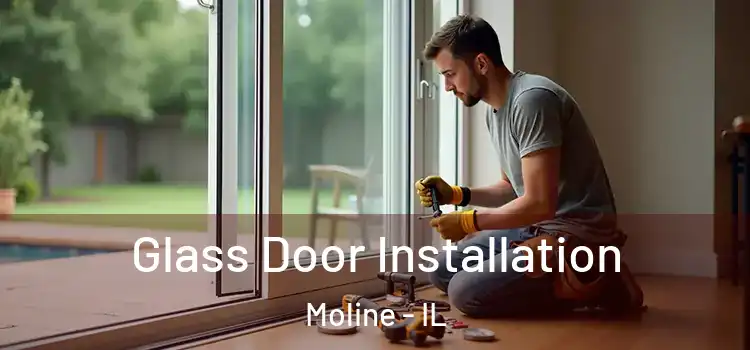 Glass Door Installation Moline - IL