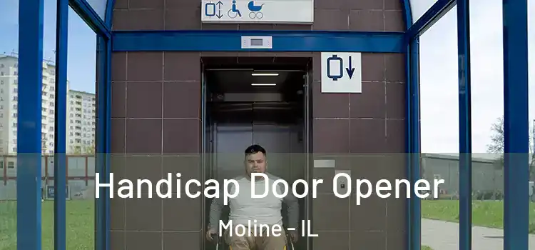 Handicap Door Opener Moline - IL