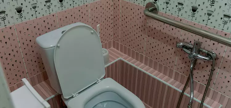 Meeting Diverse Needs With Accessible Restroom Solutions in Moline, IL