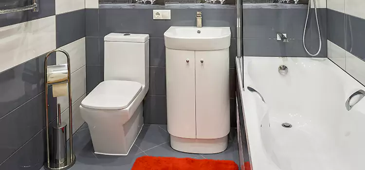 Hansgrohe Shaving Mirror Moline