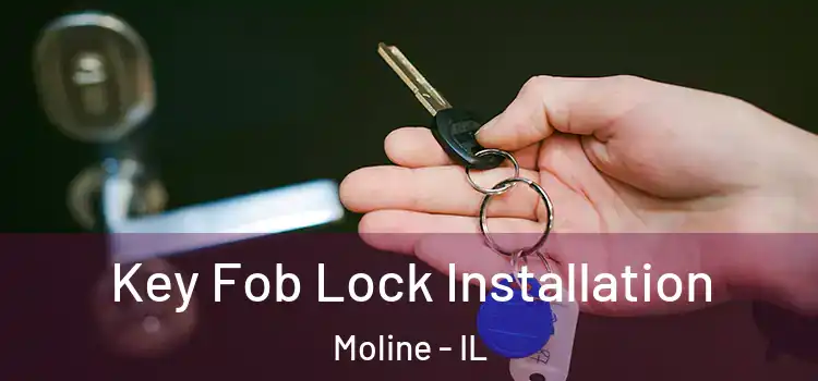 Key Fob Lock Installation Moline - IL