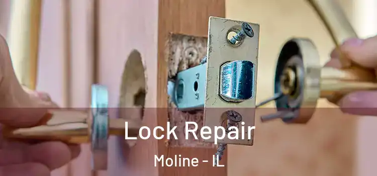  Lock Repair Moline - IL
