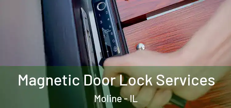 Magnetic Door Lock Services Moline - IL