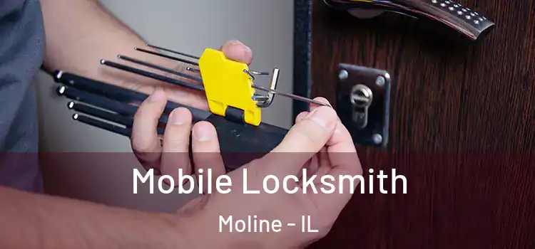Mobile Locksmith Moline - IL