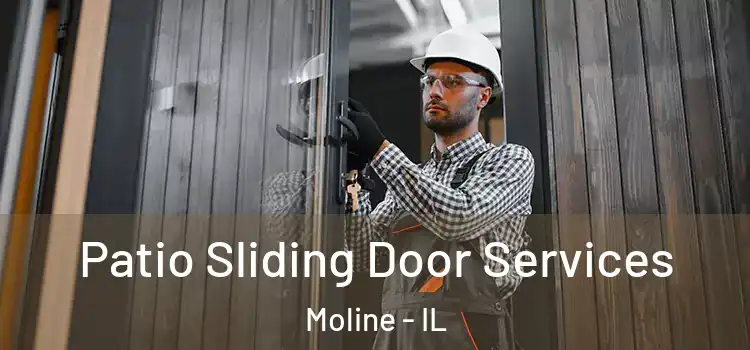 Patio Sliding Door Services Moline - IL