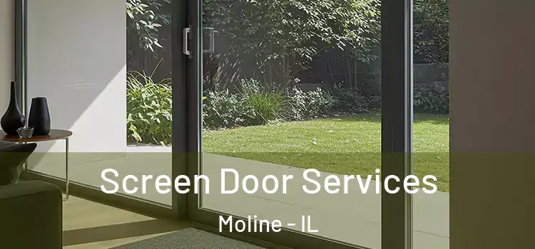 Screen Door Services Moline - IL