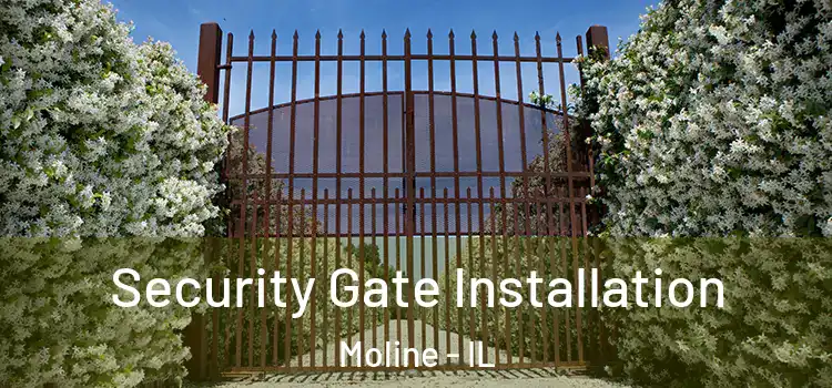 Security Gate Installation Moline - IL