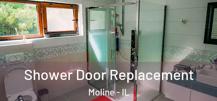  Shower Door Replacement Moline - IL