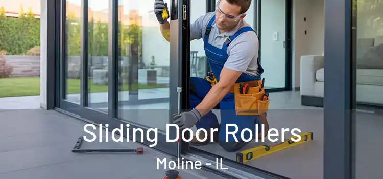 Sliding Door Rollers Moline - IL