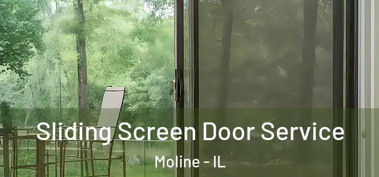 Sliding Screen Door Service Moline - IL