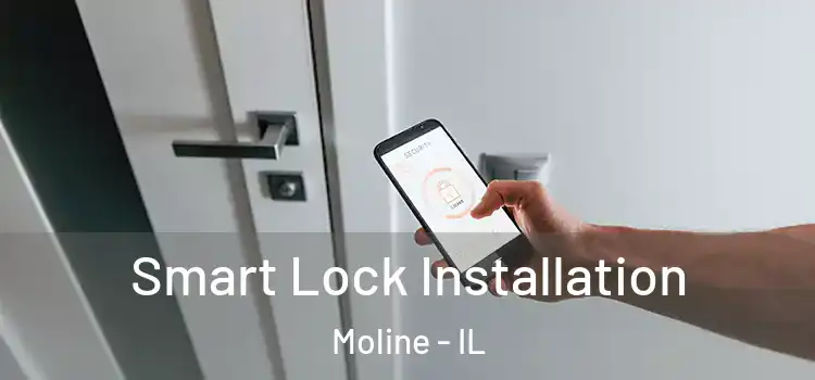 Smart Lock Installation Moline - IL
