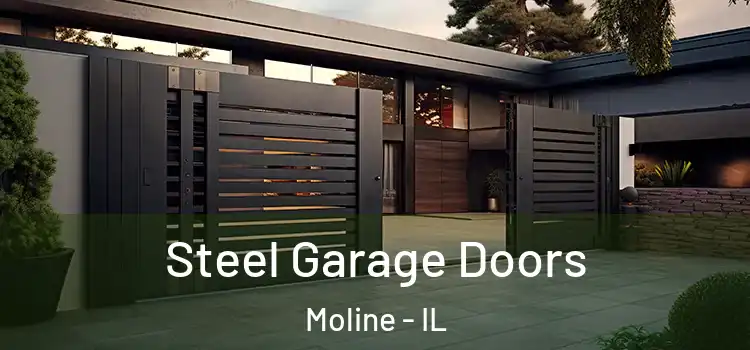 Steel Garage Doors Moline - IL